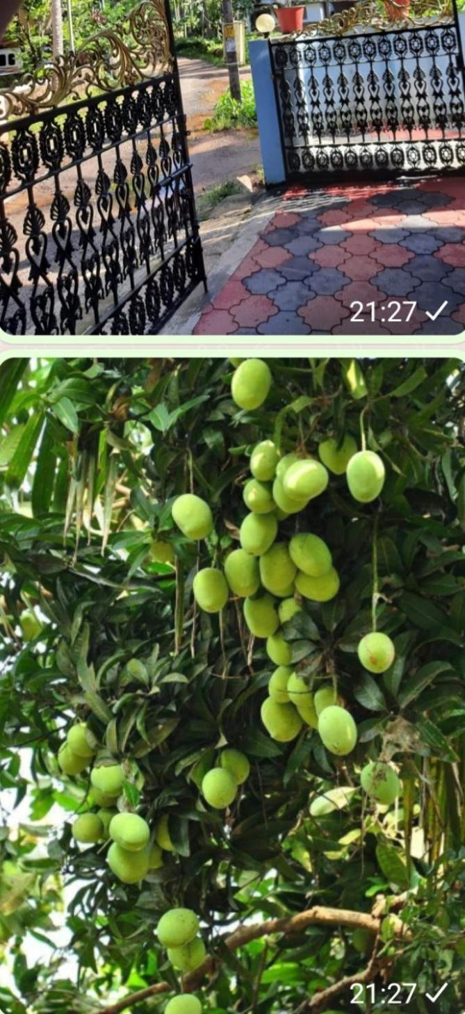 Urban Rose Homestay Kannur Exterior photo